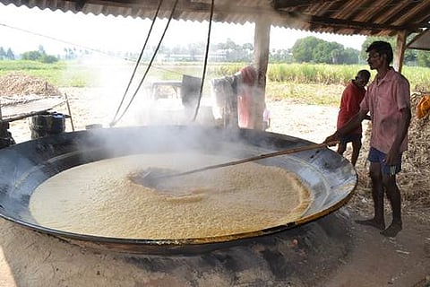 தைப்பொங்கலுக்கான வெல்லம் தயாரிக்கும் பணிகள் மும்முரம்: விலை வீழ்ச்சியால் கவலையடைந்துள்ள விவசாயிகள்