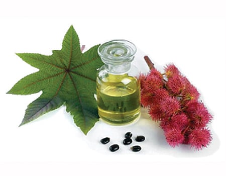 ஆயுள் காக்கும் ஆயுர்வேதம்: நடப்பதற்கே பயம்!