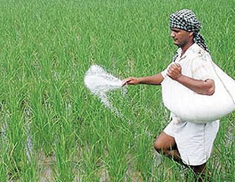 அதிக மகசூல் பெற உயிர் உரங்களை பயன்படுத்த அறிவுரை