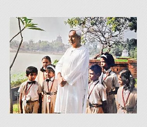 அலலிப் பூ... முல்லைப் பூ... எல்லாமே வெள்ளைப் பூ!