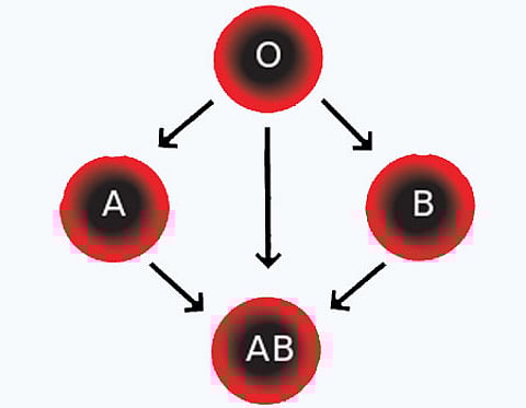 70 சத குழந்தைகள் ரத்த சோகையால் பாதிப்பு