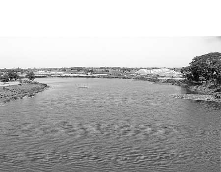 பாசனம் பலவகை