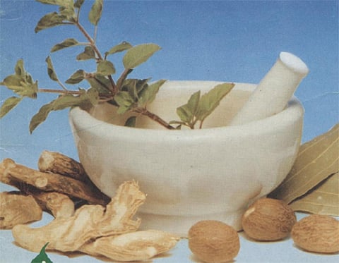 ஆயுள் காக்கும் ஆயுர்வேதம்: இஞ்சி, சுக்கு, கடுக்காய்!