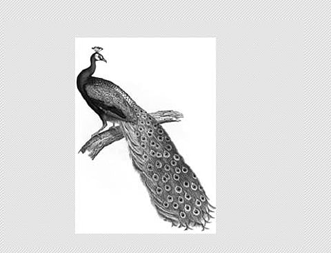 இந்தியாவின் சின்னங்கள்