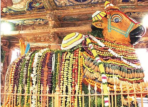 மகாநந்திக்கு மகர சங்கராந்தி விழா!