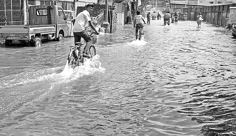 மழை கற்றுத் தந்த பாடம்....