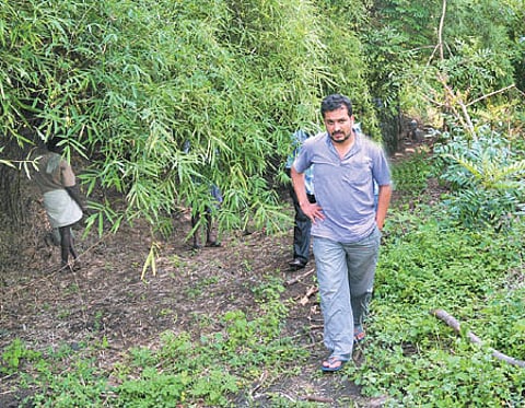 வனத்திலே வேலை இருக்கிறது!