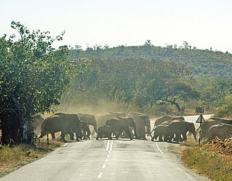 நியூட்ரினோ- 3 : பூகோளமயமான அம்சம் கொண்ட மேற்குத் தொடர்ச்சி மலை