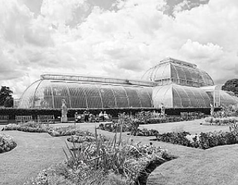 உலகப் பெருந்தோட்டம்!