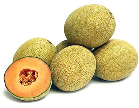 மூல நோயைக் குணப்படுத்தும் முலாம்பழம்!