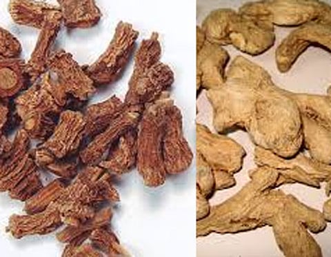 ஆயுள் காக்கும் ஆயுர்வேதம்: உமிழ்நீர்ச் சுரப்பு குறைந்து போனால்...!