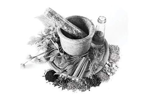 சித்த மருத்துவத்துக்குப் பயன்படும் மான் கொம்பு, ஆமை ஓடுமத்திய அரசின் தடையால் மருந்து தயாரிப்பு பாதிப்பு