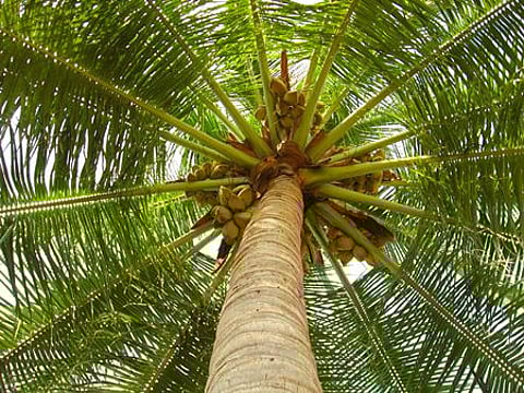 14. உணவை மாற்றினால் உலகையே மாற்றலாம்!