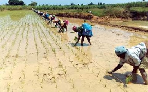 494 பேருக்கு ரூ. 40 லட்சத்தில் வேளாண் கருவிகள்