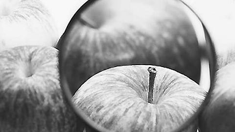 கேள்விக்குறியாகும் உணவுப் பொருள்களின் தரம்