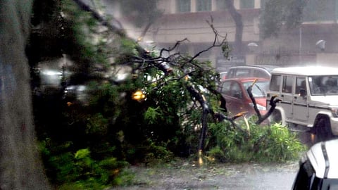 தமிழகத்தை கொடூரமாக தாக்கிய கோரப் புயல்கள் ஒரு பார்வை...!