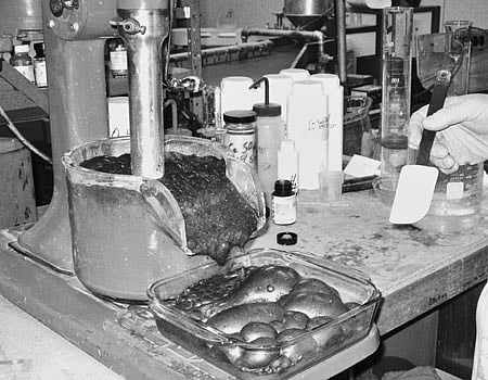 பிளாஸ்டிக் துறையில் இலவசப் பயிற்சி!