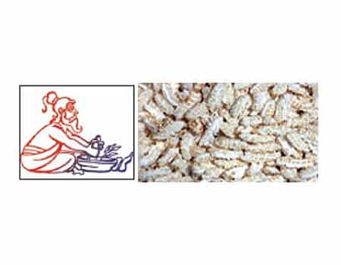 ஆயுள் காக்கும் ஆயுர்வேதம்: இரத்தக் கசிவும் பட்டினி சிகிச்சையும்!