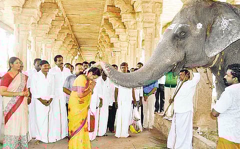 தேர்தல் அறிக்கையில் இலவசங்களுக்கு இடமில்லை!பிரேமலதா விஜயகாந்த்
