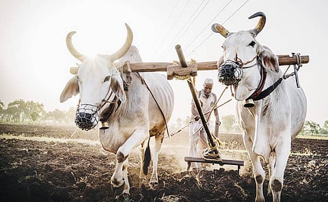 மண் வளத்தை அதிகரிக்க கோடை உழவு அவசியம்