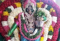 மகரம் - தமிழ்ப் புத்தாண்டுப் பலன்கள் 2017