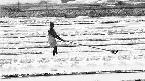 இறக்குமதி அதிகரிப்பு: உப்பு உற்பத்தி தொழில் பாதிப்பு