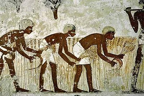 அத்தியாயம் 40 - நடுகற்கள் வகைகளும் வகைப்பாடும் - 33