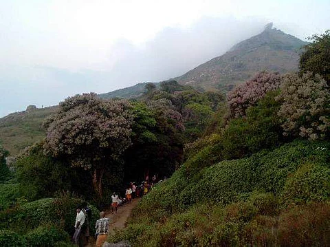 3. மார்கழியில் ஒரு மலைப்பயணம்! வெள்ளியங்கிரி!