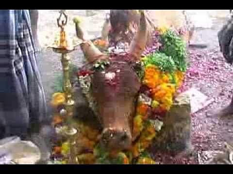 பீட்டாவுக்கு சமர்ப்பிக்க ஒரு வீடியோ ஆதாரம்: