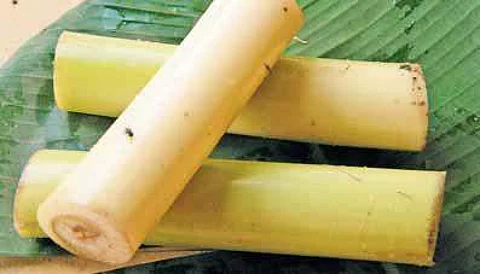 இன்றைய மருத்துவ சிந்தனை (03.01.2017) வாழை