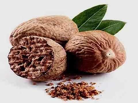 இன்றைய மருத்துவ சிந்தனை: மாசிக்காய்