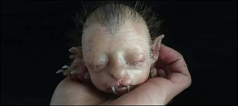 விநோத மிருகம் என வலைத்தளத்தில் வலம் வந்த மனித முகம் கொண்ட பூனைக் குட்டி, சாதாரண பொம்மை தான் எனக் கண்டுபிடிப்பு!