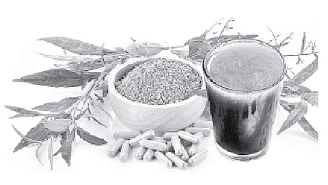 நிலவேம்பு குடிநீரில் பக்கவிளைவுகள் எதுவும் இல்லை: ஆய்வு ஆதாரங்களை வெளியிட்டது தமிழக அரசு