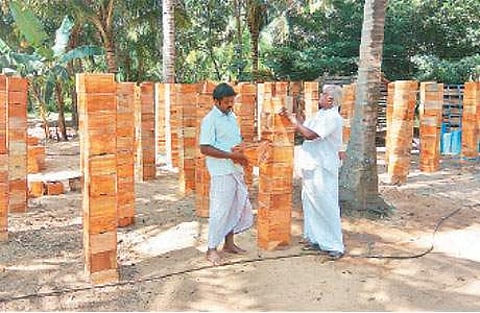 லாபம் தரும் தேனீக்கள்