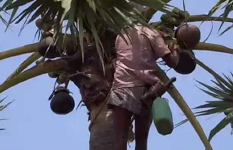 "ஜனவரி 21ஆம் தேதி முதல் கள் இறக்கப்படும்': தமிழ்நாடு விவசாயிகள் சங்கங்களின் கூட்டமைப்பு