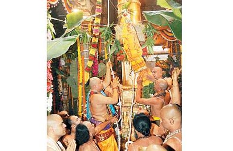 பிரம்மோற்சவத்தை முன்னிட்டு கொடிமரத்தில் ஏற்றப்பட்ட யானைக் கொடி.