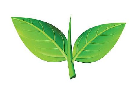 இடைத்தேர்தலில் தோல்வியை தழுவிய ஆளும் கட்சி!