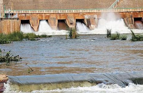 வைகை அணை மதகுகள் வழியே ஆர்ப்பரித்து வெளியேறும் தண்ணீர்.