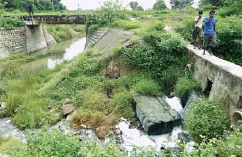 சென்னைக்கு குடிநீர் வரும் கிருஷ்ணா கால்வாயில் கழிவு நீர் கலப்பு?