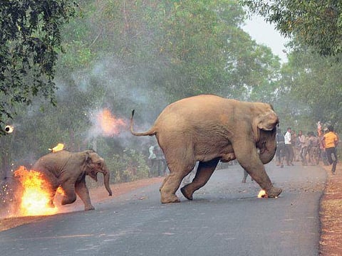 நீ பற்ற வைத்த நெருப்பொன்று...