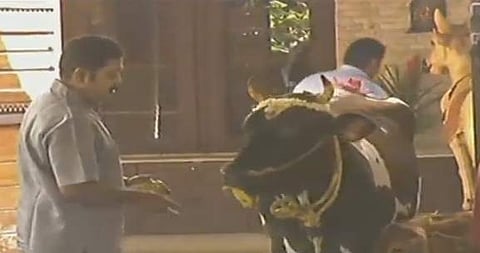 சோதனைக்கு இடையே கோ பூஜை நடத்திய டிடிவி தினகரன்