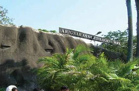 வண்டலூர் உயிரியல் பூங்கா 4 மாதங்களுக்குப் பின்னர் இன்று திறப்பு