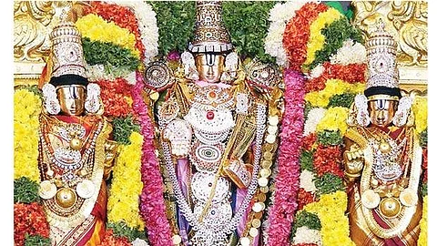மணமக்களுக்கு ஏழுமலையான் ஆசீர்வாதம்