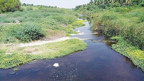 திருப்பூர் அருகே நிறம் மாறி ஓடும் நொய்யல் ஆறு.