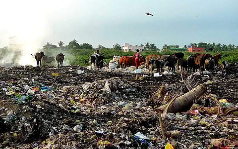 திறந்த வெளிகளில் குப்பையை எரித்தால் அபராதம்