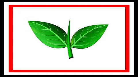இரட்டை இலை: அக்டோபர் 31-க்குள் முடிவெடுக்க தேர்தல் ஆணையத்துக்கு உத்தரவு