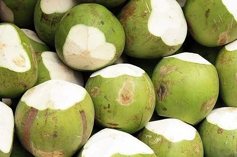 இளநீரில் இருக்கிறது எண்ணற்ற பயன்கள்!