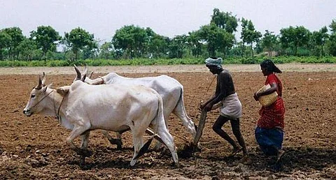 தமிழக விவசாயிகளை கட்டாயப்படுத்தி கடனை வசூலிப்பது கூடாது: வங்கிகளுக்கு உச்ச நீதிமன்றம் உத்தரவு
