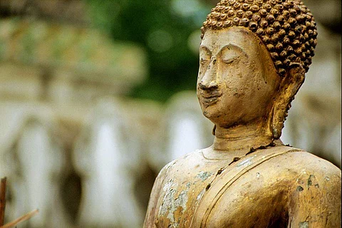 புத்தரை விட கூடுதல் புகழ் பெற்ற போதி மரம்!