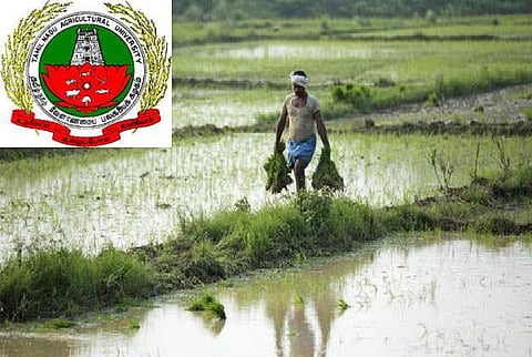 விண்ணப்பித்துவிட்டீர்களா..? தமிழ்நாடு வேளாண்மை பல்கலைக்கழகத்தில் வேலை